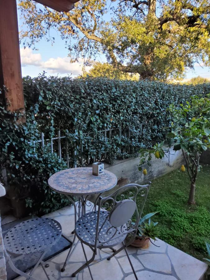 Lulamax Sardegna Olbia Eksteriør billede